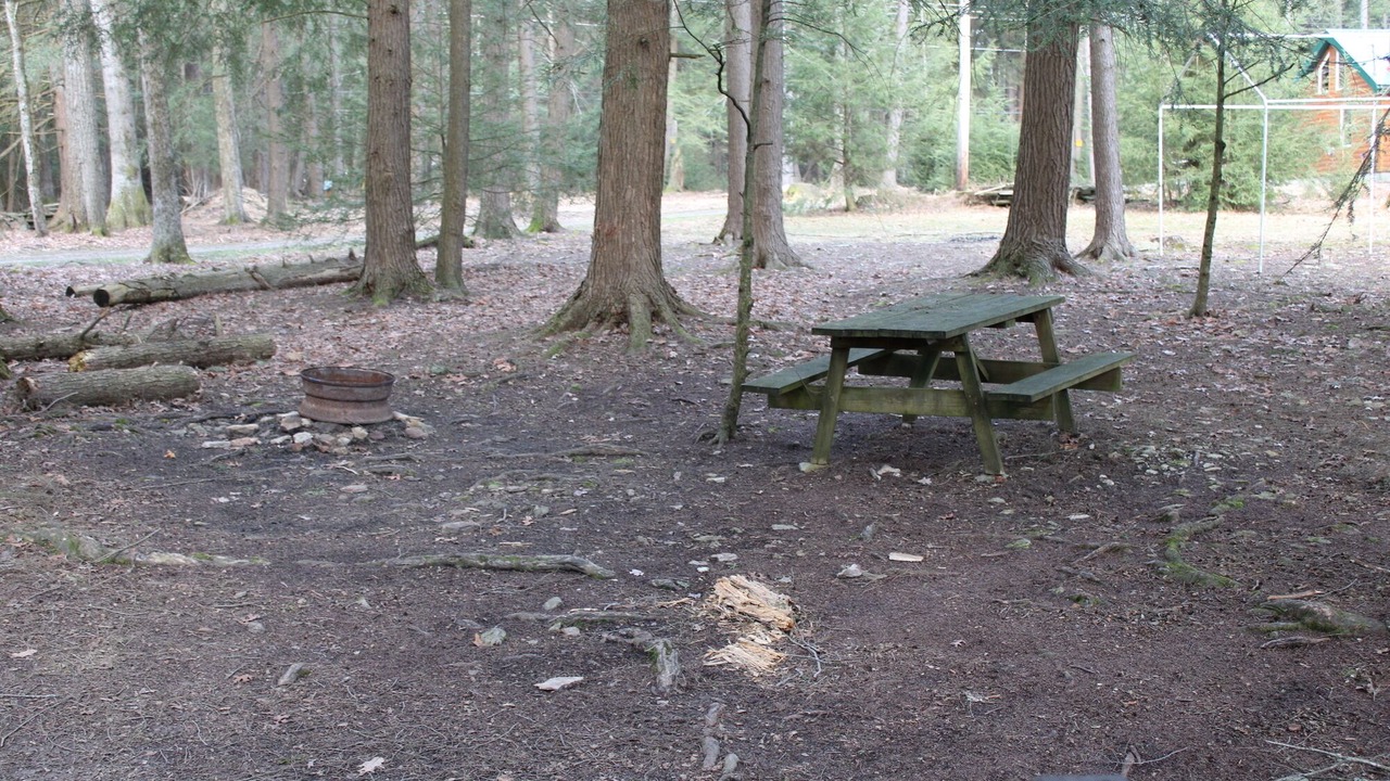 Photo of Others in Clarington