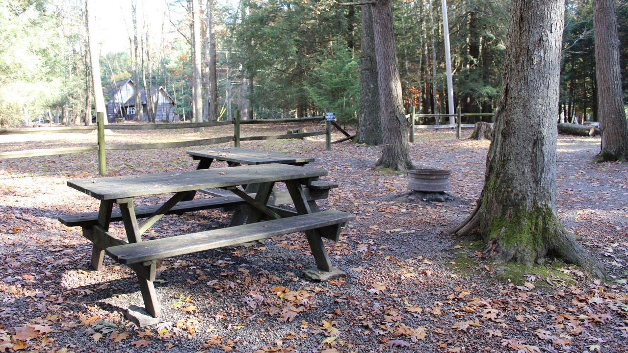 Photo of Others in Clarington