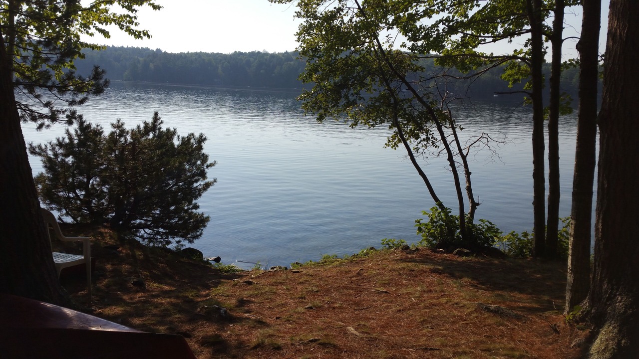Photo of Others in Litchfield