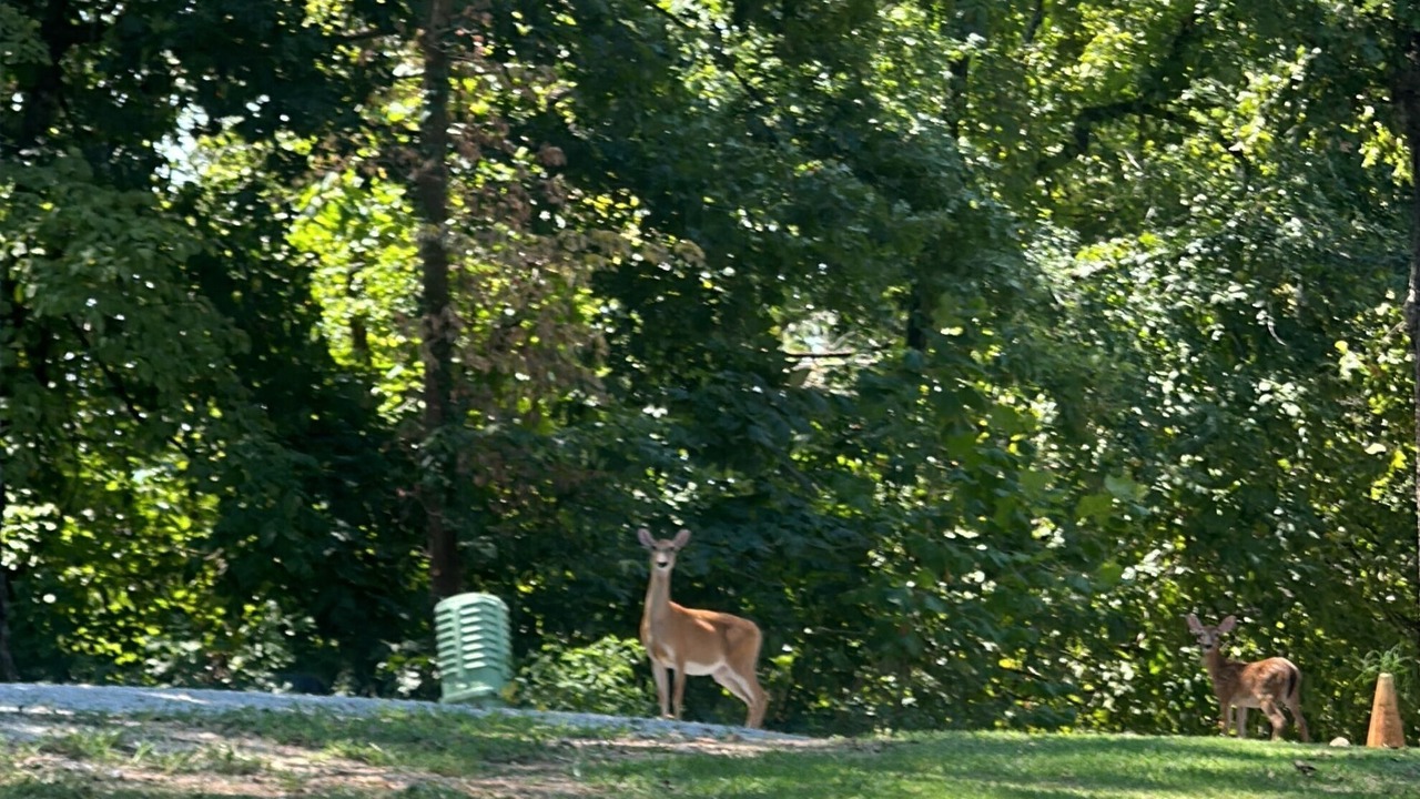 Photo of Others in Afton