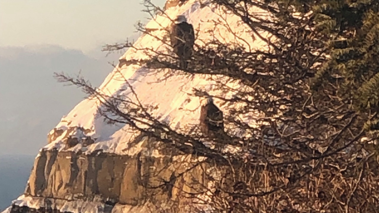 Photo of Others in Diamond Ridge
