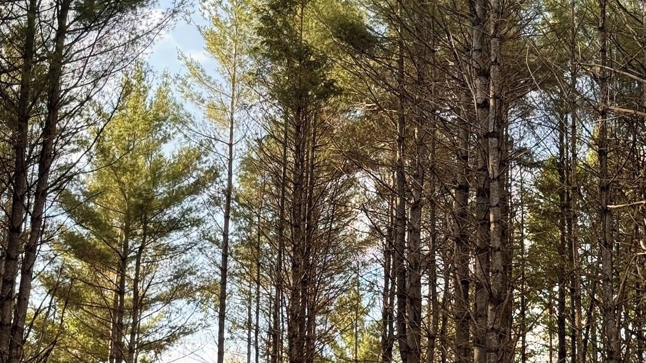 Photo of Others in Monson
