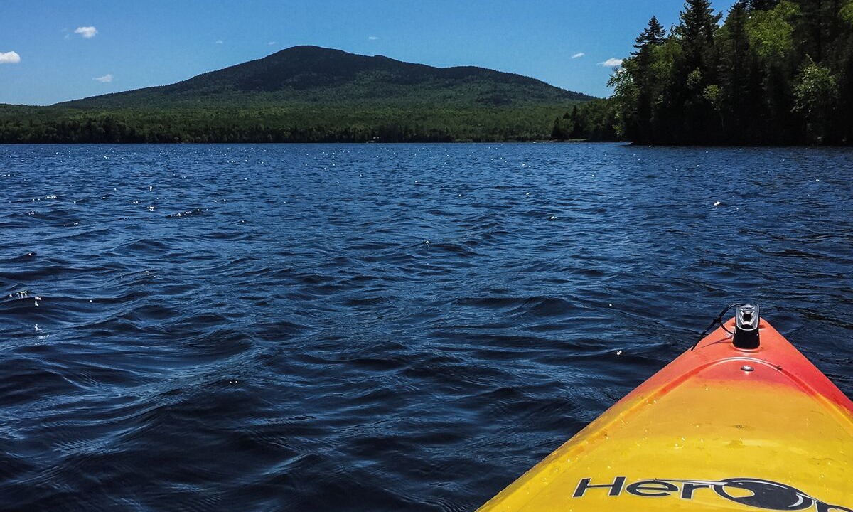 Photo of Others in Shin Pond