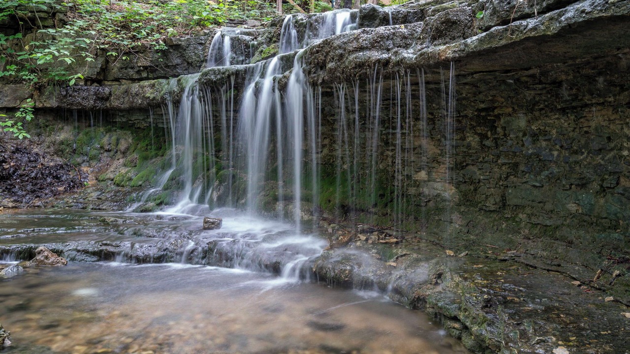 Photo of Others in Branson