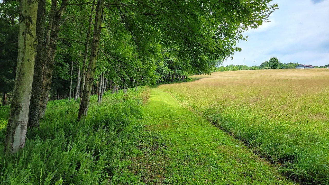 Photo of Others in Spring Creek