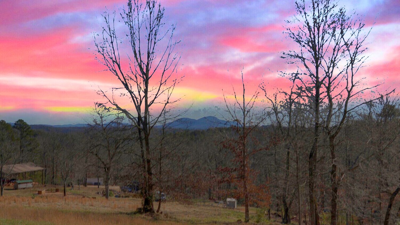 Photo of Others in Dahlonega