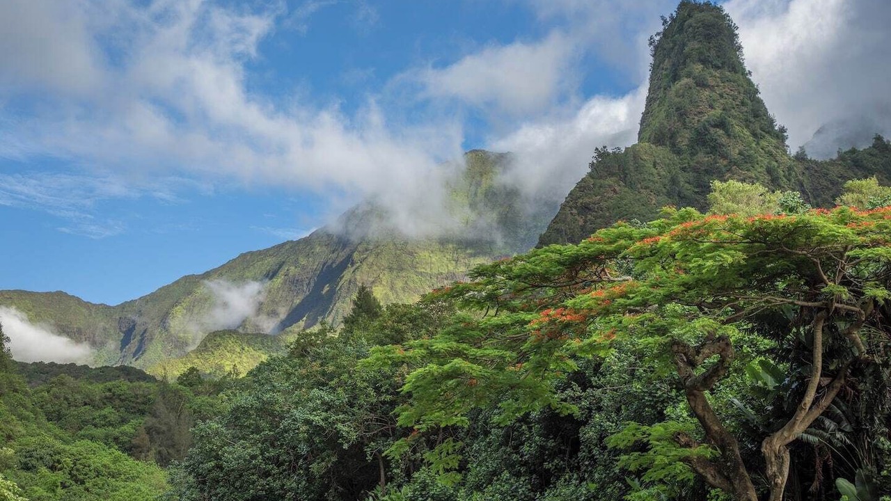 Photo of Others in Wailuku