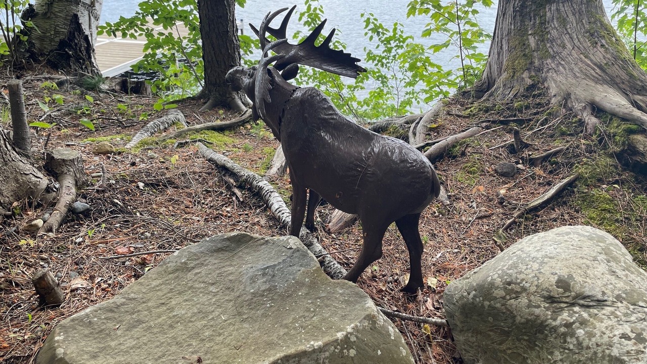 Photo of Outdoor in Abbot