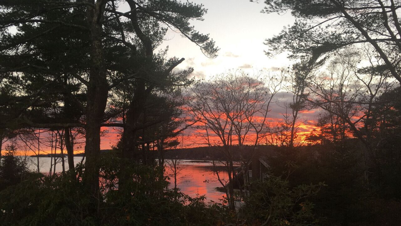Photo of Others in Bayville