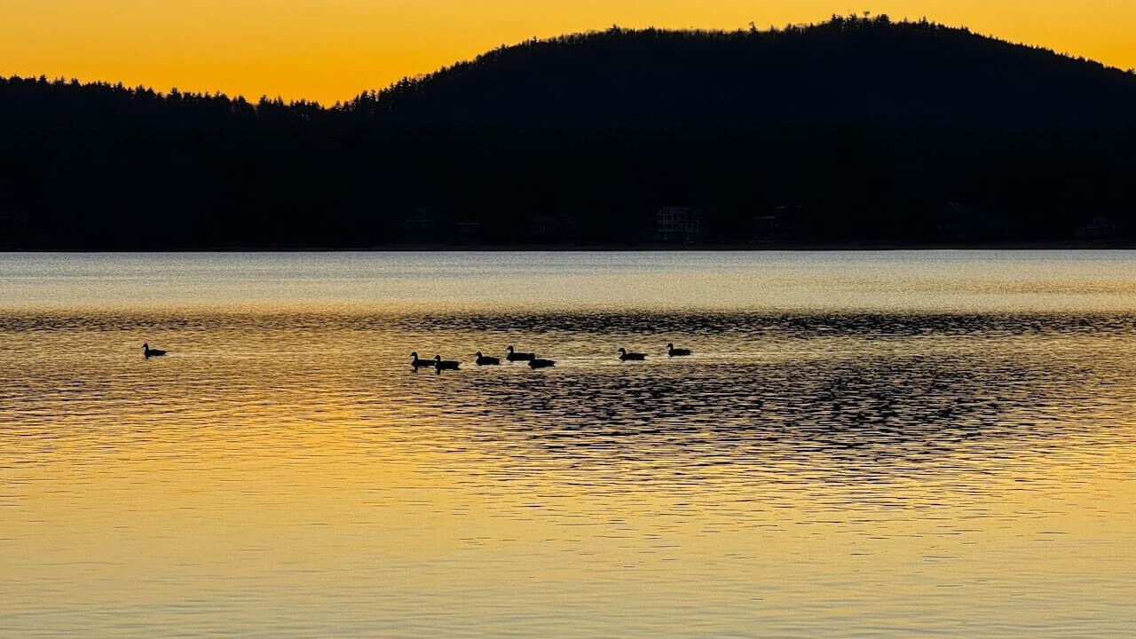 Photo of Others in Fryeburg
