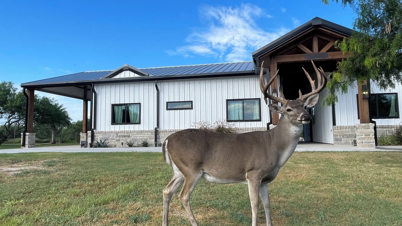 Photo of Outdoor in Port Mansfield