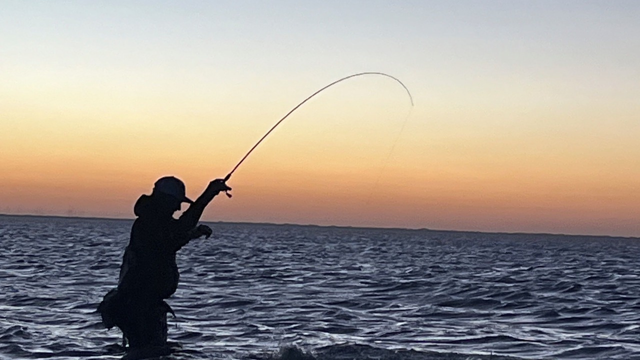 Photo of Others in Port Mansfield