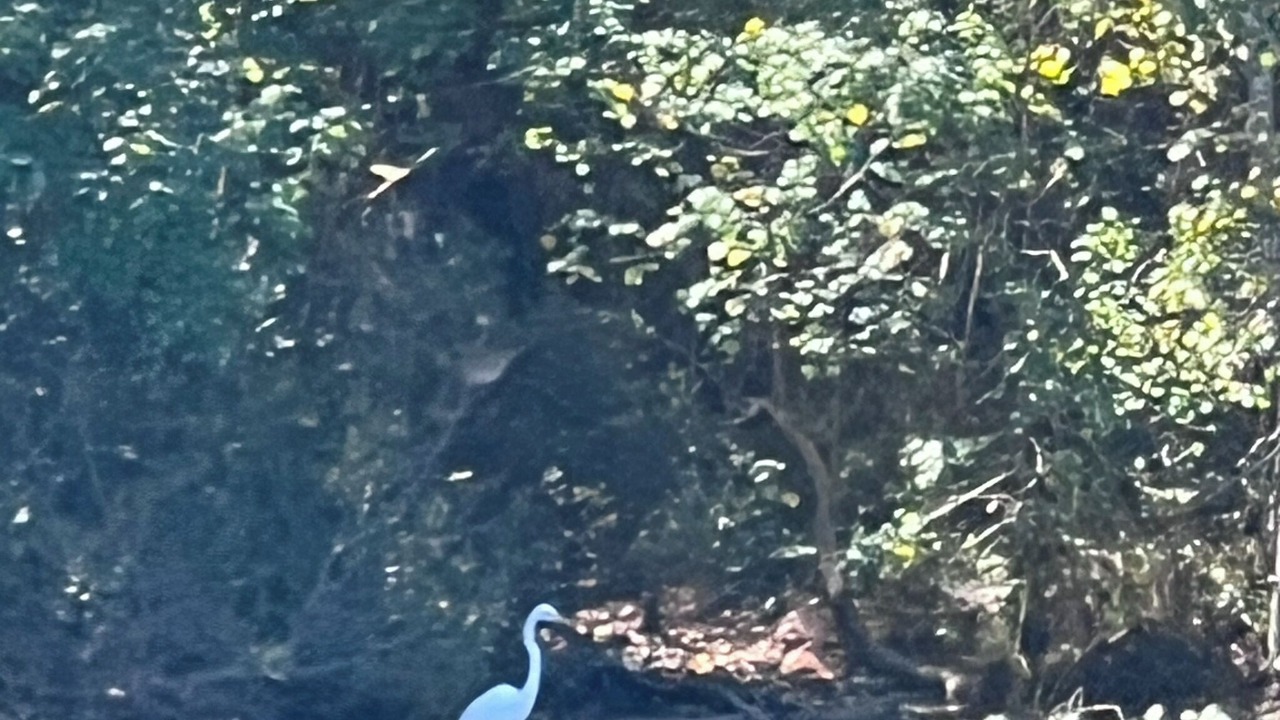 Photo of Others in Bethany