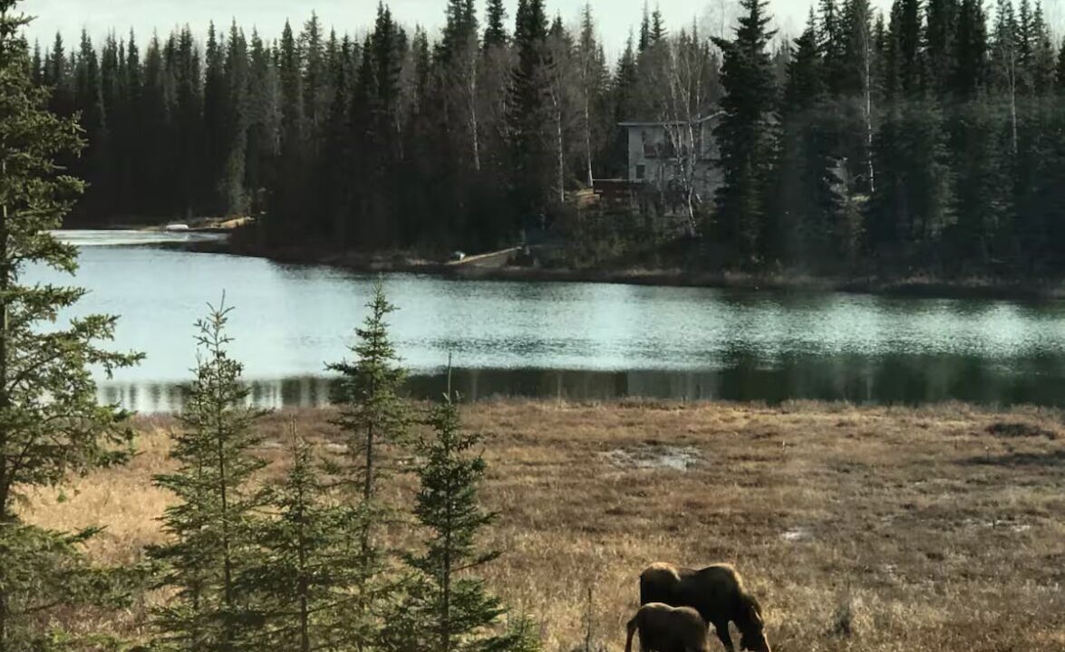 Photo of Others in Kasilof