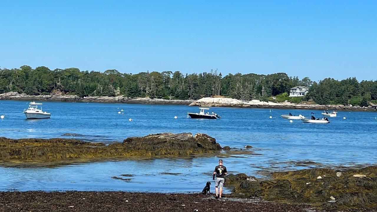 Photo of Others in Ocean Point