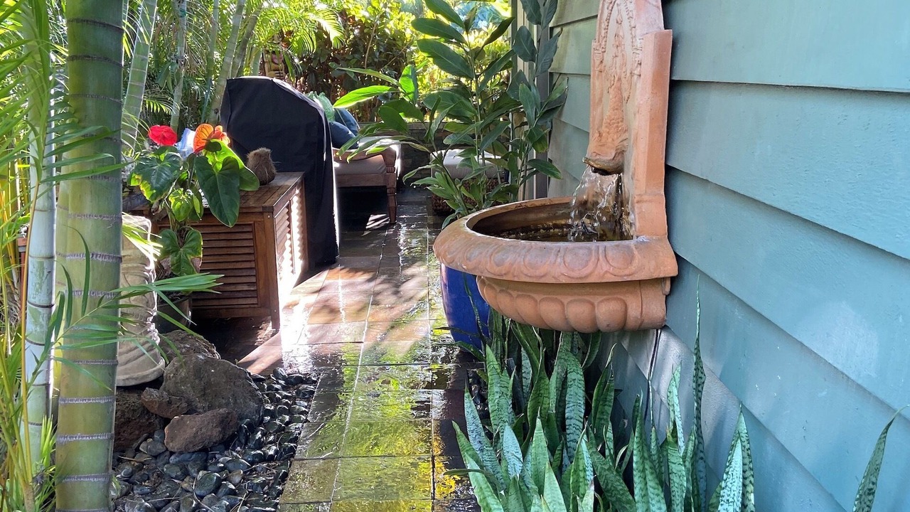 Photo of Outdoor in Kaanapali