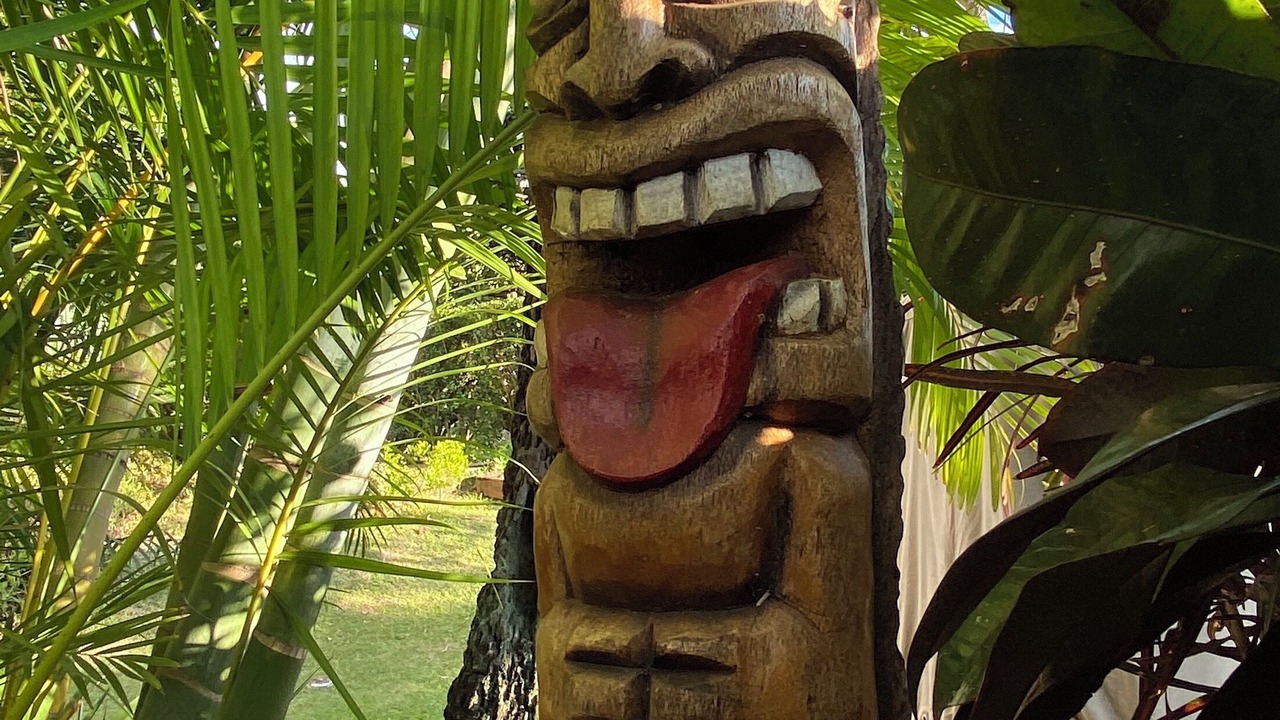 Photo of Others in Kaanapali