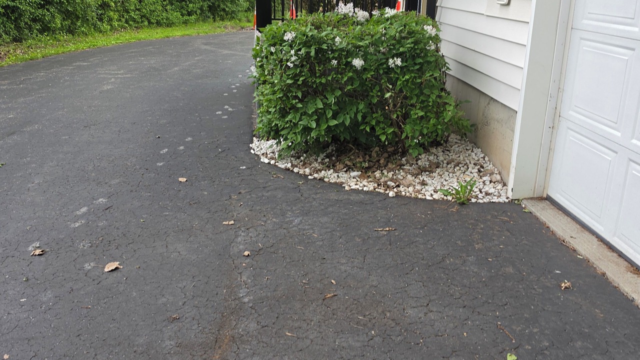 Photo of Outdoor in Elma