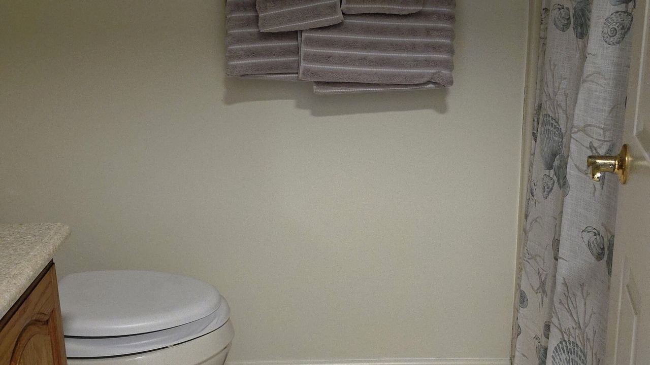 Photo of Bathroom in Elma