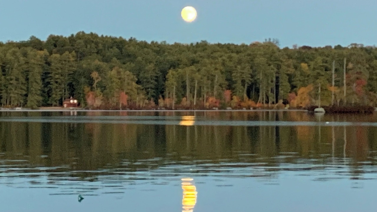Photo of Others in Bridgton