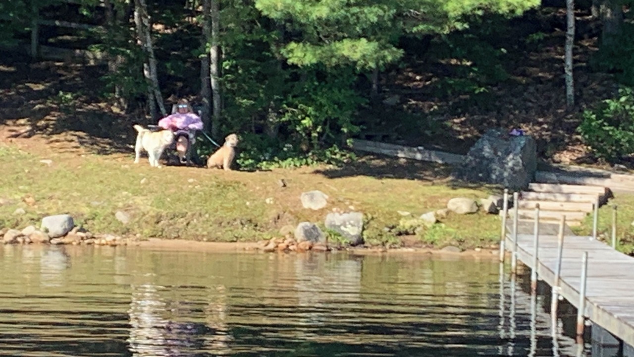 Photo of Others in Bridgton