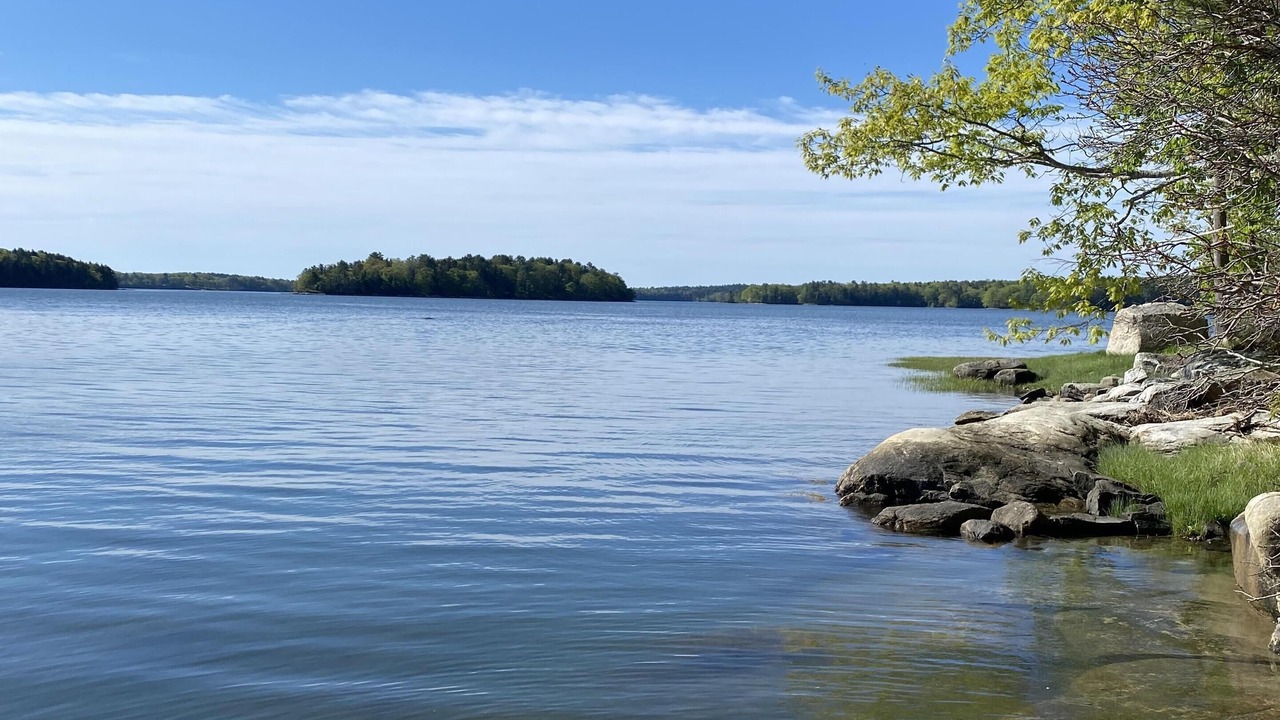 Photo of Others in Waldoboro