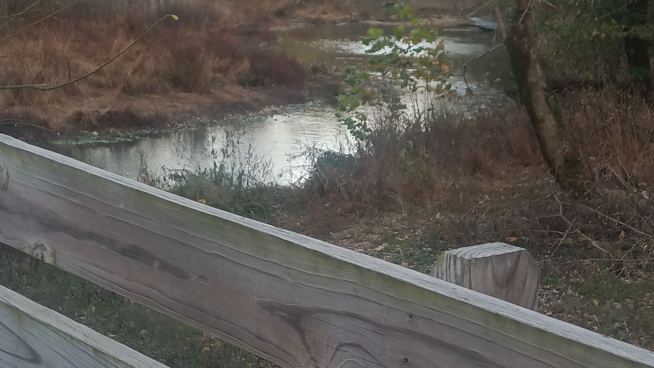 Photo of Others in Siloam Springs