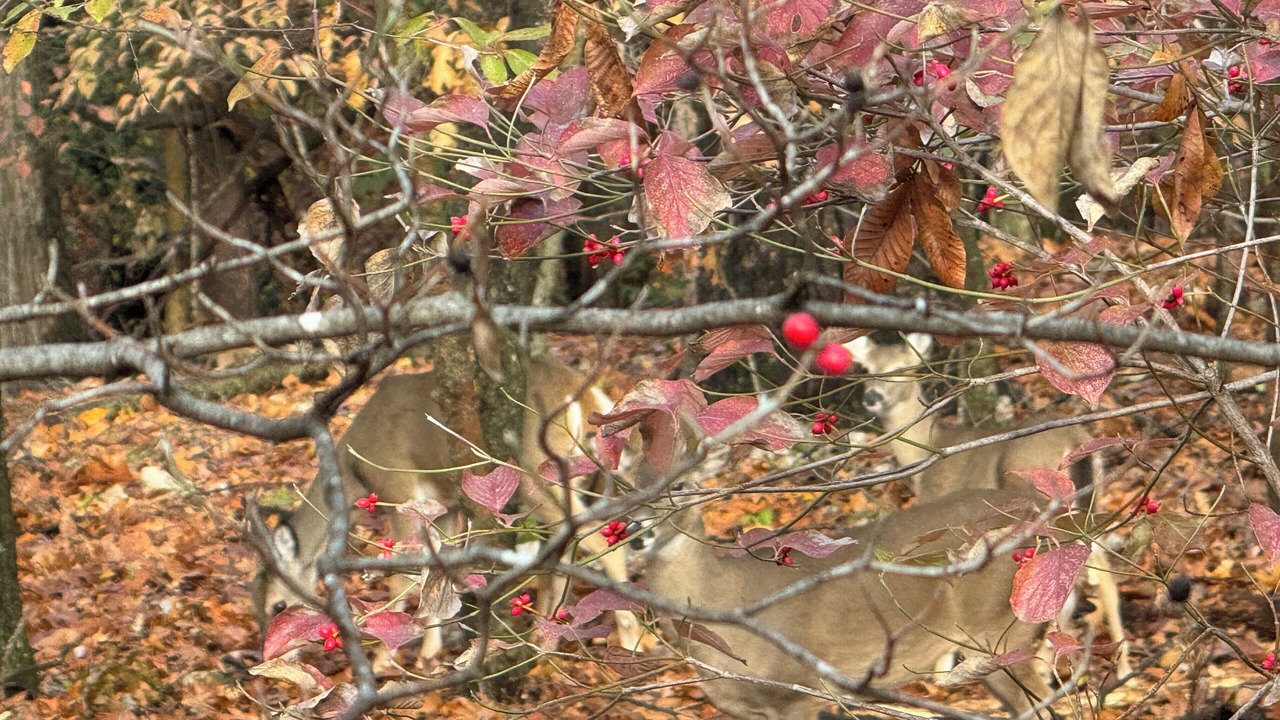 Photo of Others in Afton