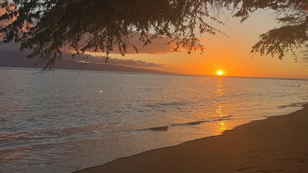 Photo of Others in Kahana