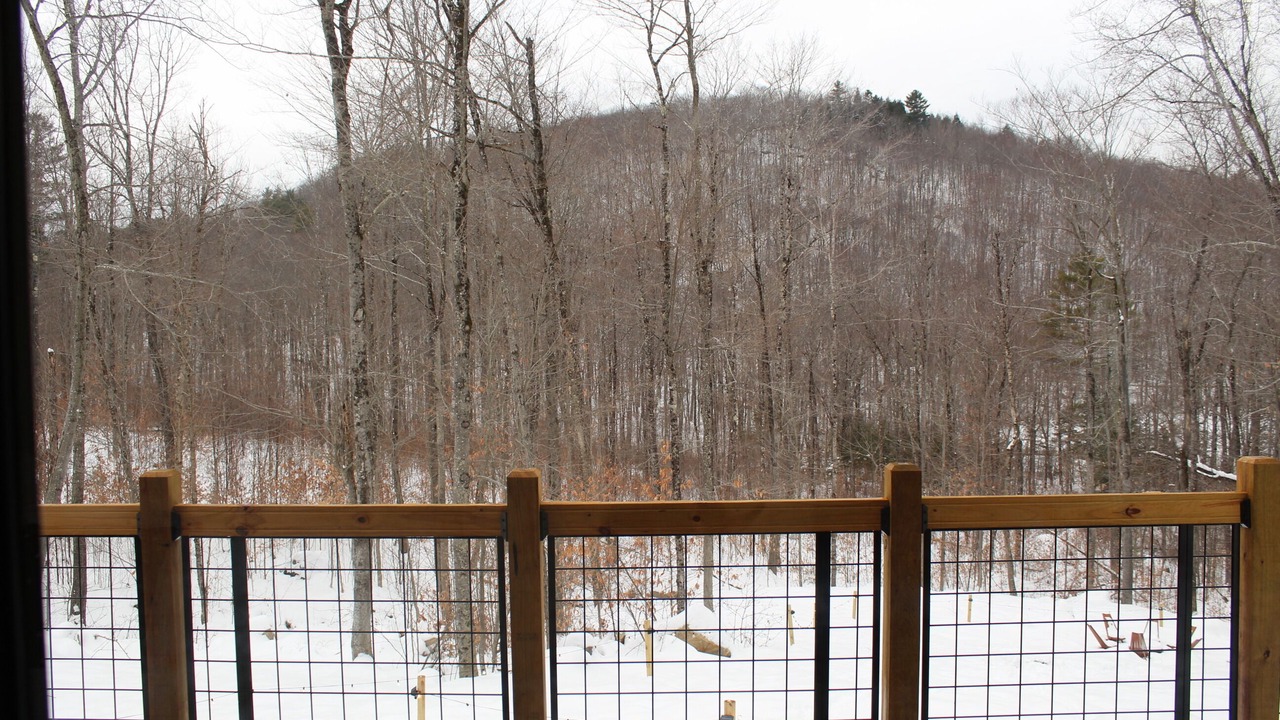 Photo of Outdoor in South Pond Shores