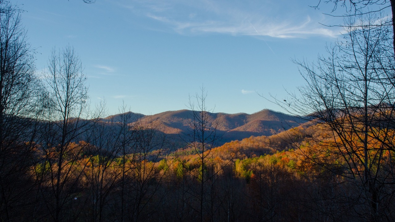 Photo of Others in Hiawassee