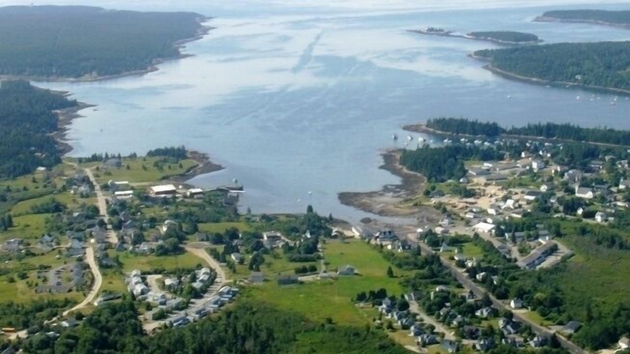 Photo of Outdoor in Winter Harbor