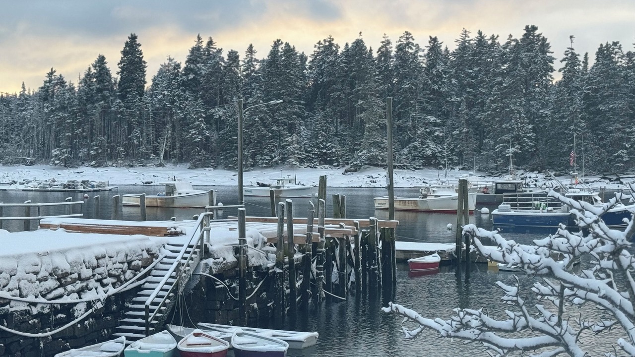 Photo of Others in Winter Harbor
