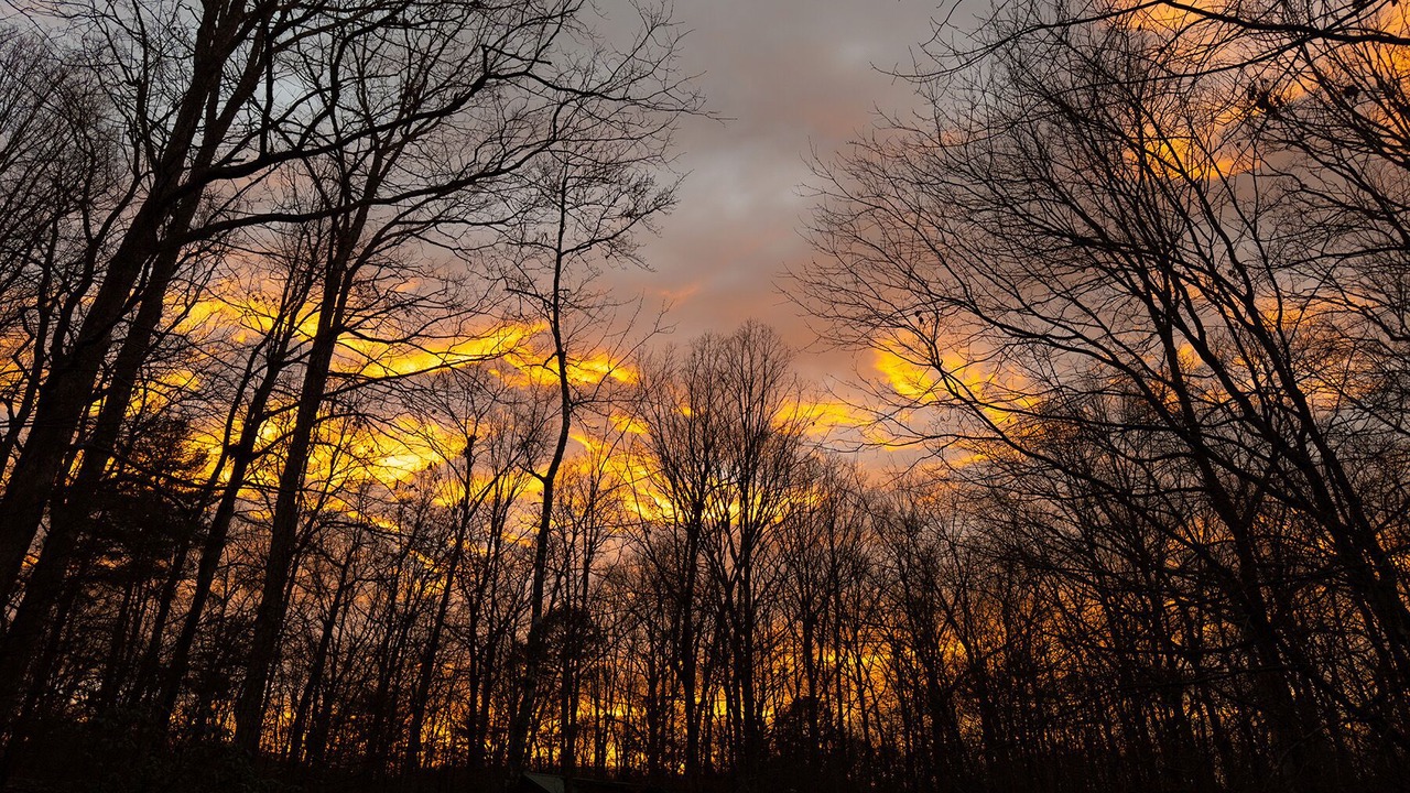 Photo of Outdoor in Blairsville