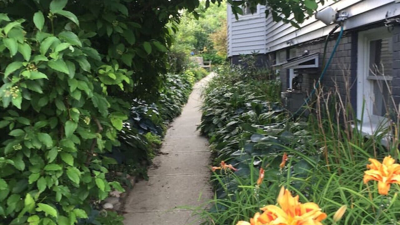 Photo of Outdoor in East End