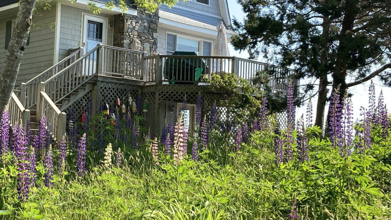 Photo of Others in East Boothbay