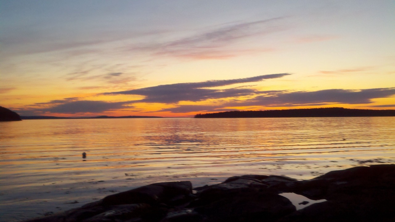 Photo of Others in South Gouldsboro