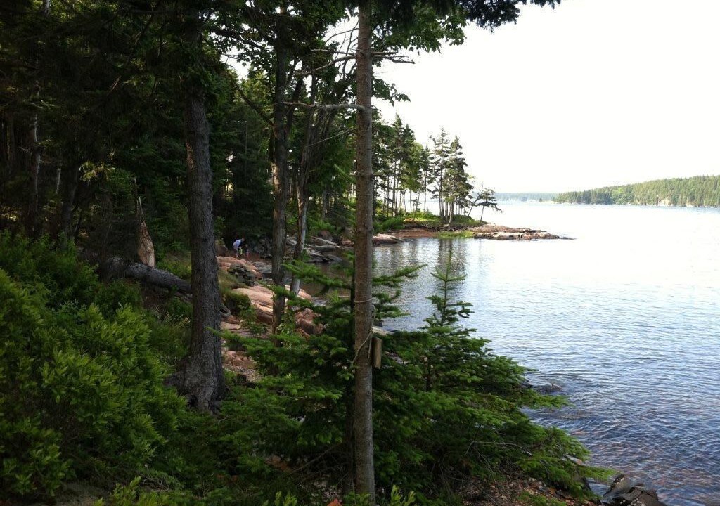 Photo of Others in South Gouldsboro