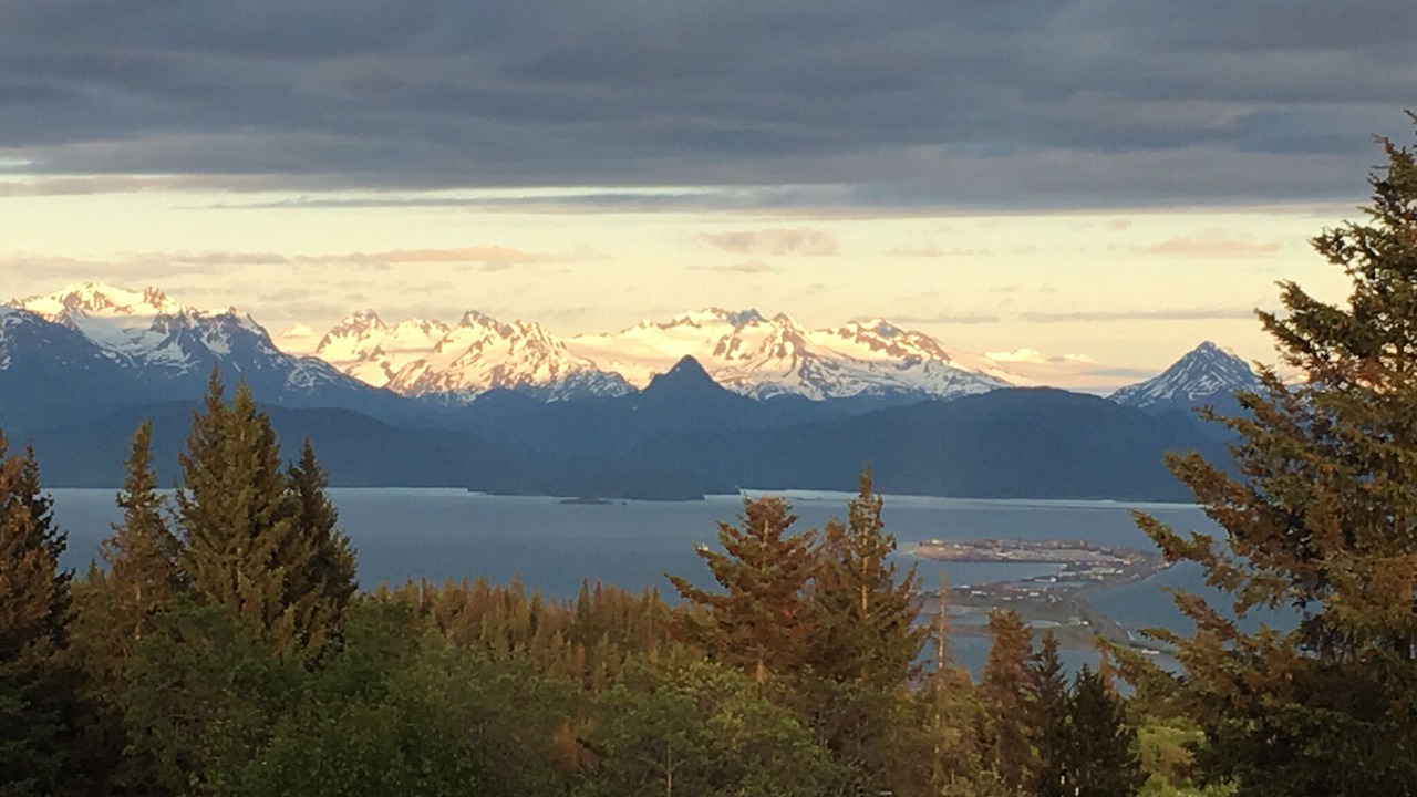 Photo of Others in Homer