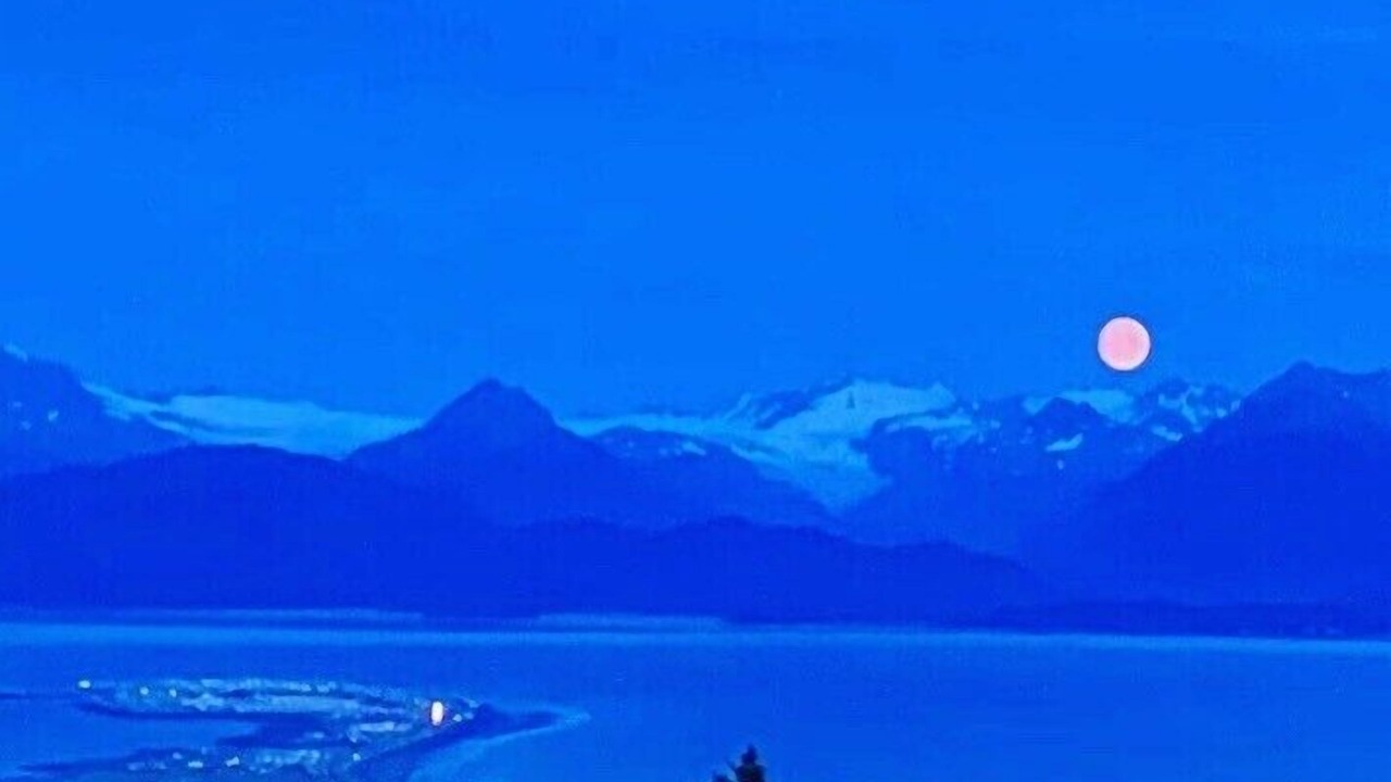 Photo of Others in Homer