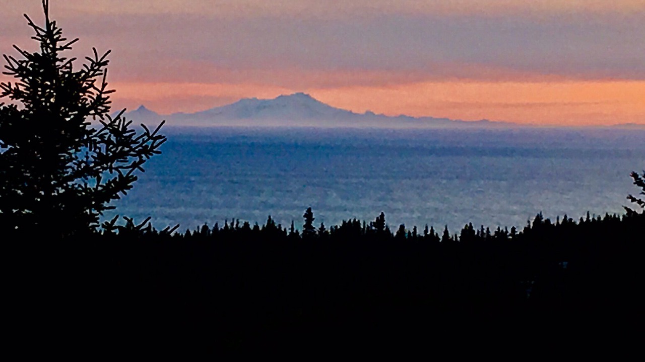 Photo of Others in Homer