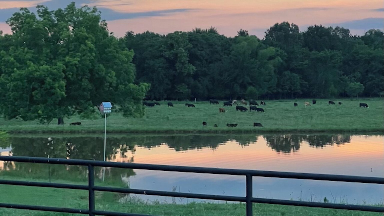 Photo of Others in Arthur City