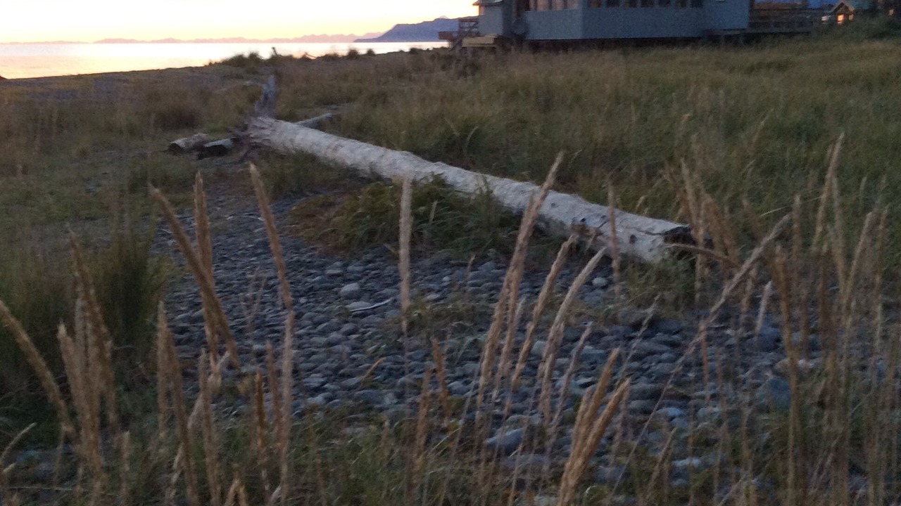 Photo of Others in Homer