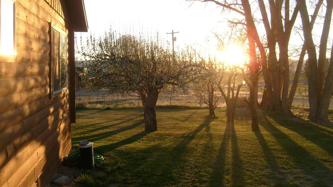 Photo of Others in Lyman