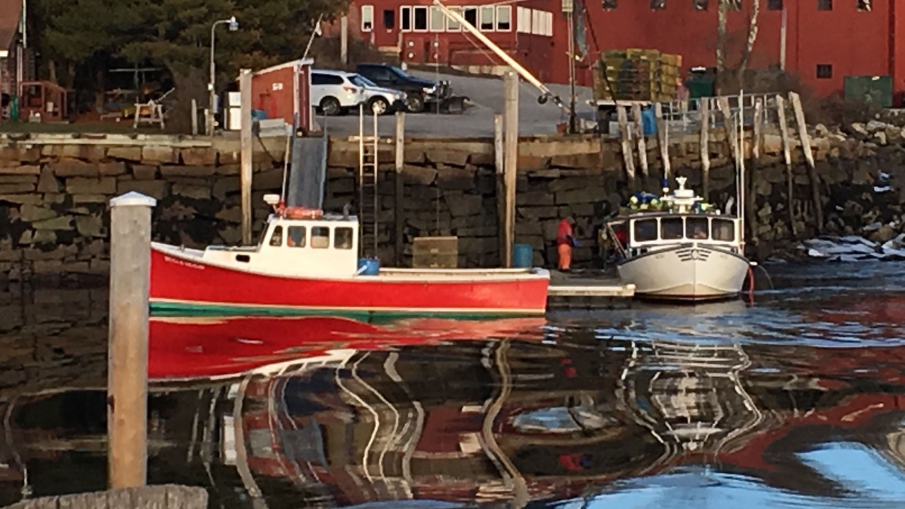 Photo of Others in Rockport