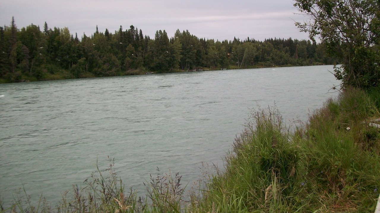 Photo of Others in Soldotna