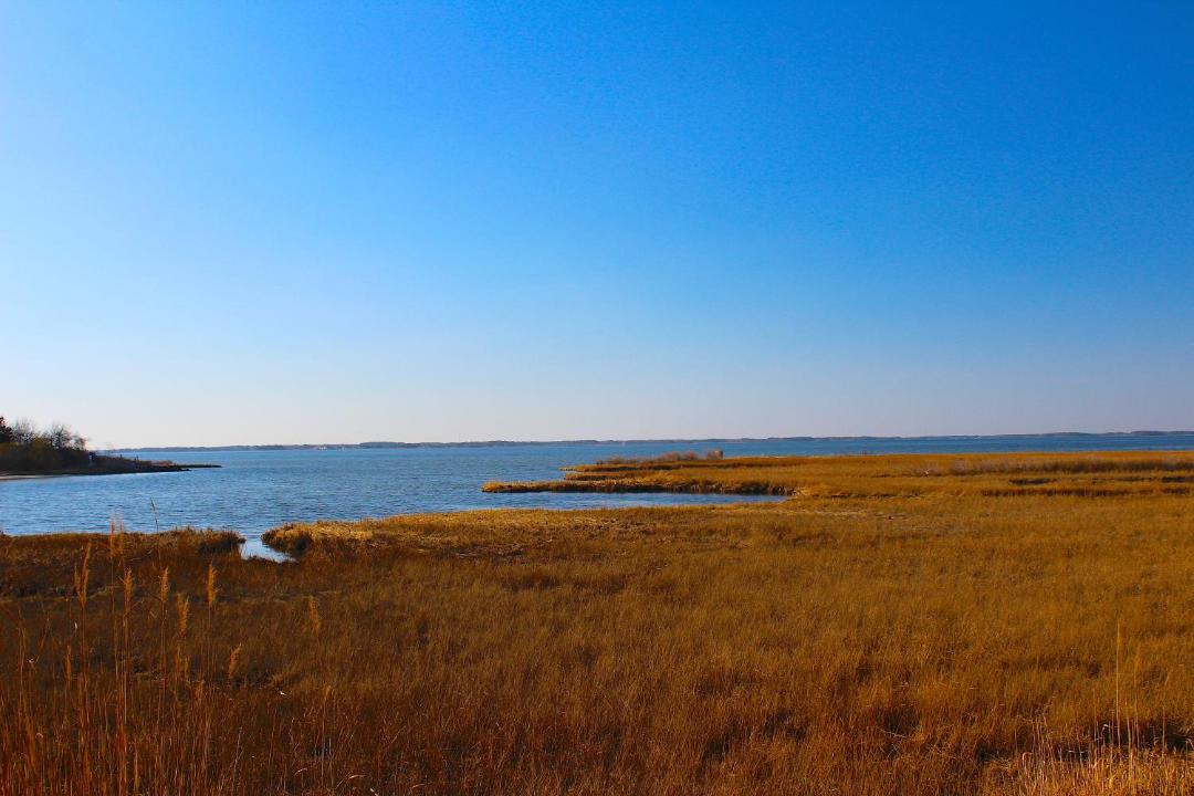 Photo of Others in Midtown Ocean City