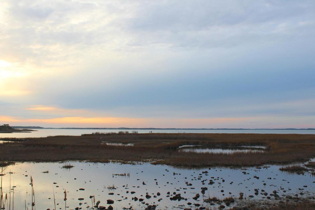 Photo of Others in Midtown Ocean City