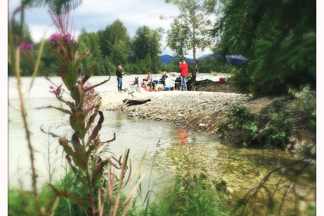 Photo of Others in Talkeetna