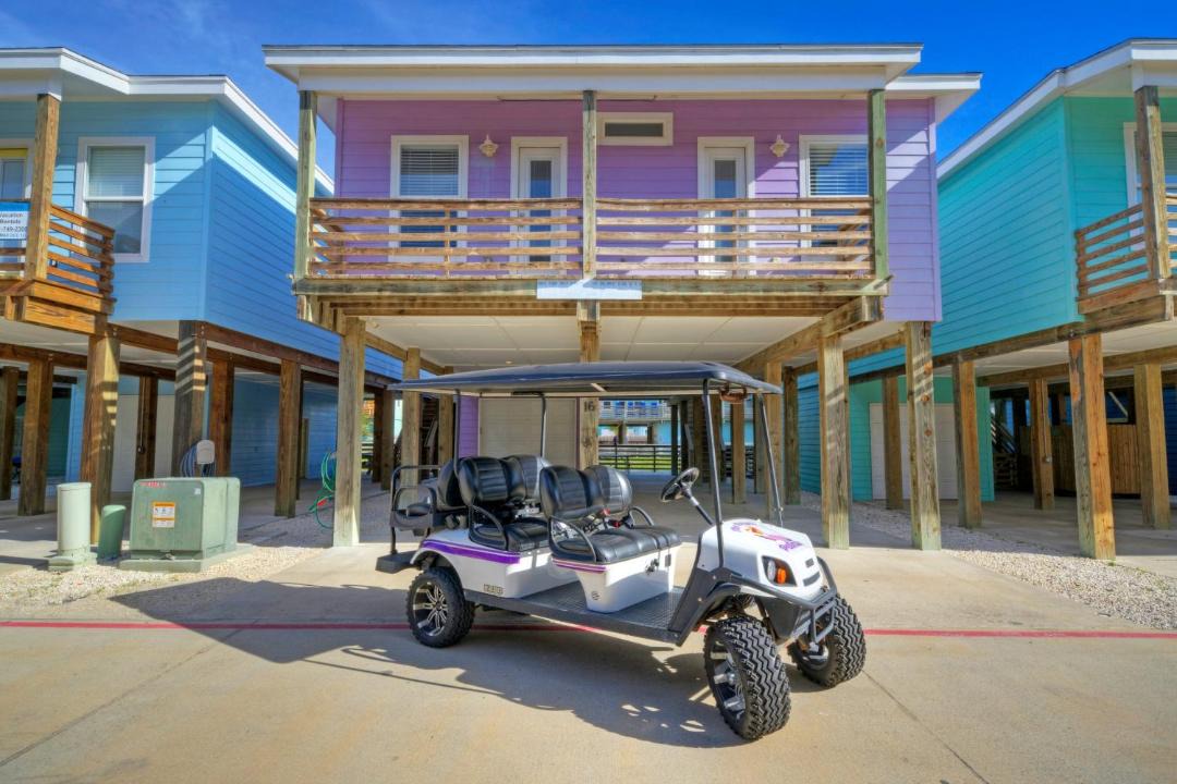 Photo of Others in Port Aransas